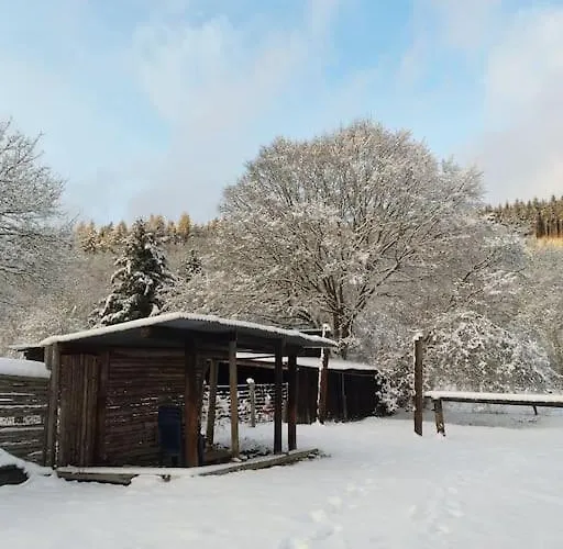 Charmante Maison De Caractere A 2km De Redu * Libin