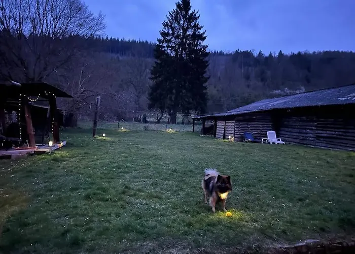 Charmante Maison De Caractere A 2km De Redu Libin